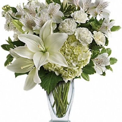 <div class="m-pdp-tabs-description">
<div id="mark-1" class="m-pdp-tabs-marketing-description">Who's the fairest of them all? This snow-white bouquet. A stunning statement of your purest love, this mix of hydrangea and lilies in a Couture vase will take their heart away.</div>
</div>
<p id="arrngDescp">This snow-white bouquet includes hydrangea, asiatic lilies, alstroemeria, miniature carnations, stock and fresh green pittosporum.</p>