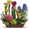 Spring Favorites - Image 2