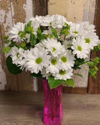 This beautiful bouquet will have you dreaming of daisies all day long! Featured in a pink vase, this gorgeous arrangement of daisies and assorted greenery is the perfect way to celebrate any number of occasions.