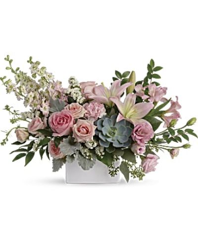 <div id="mark-3" class="m-pdp-tabs-marketing-description">Wildly sophisticated, this beautiful bouquet is a thoughtful way to say "hello" to your someone special! Its artisanal mix of soft pink blooms with eye-catching succulents and green looks fresh and modern in a square white vase.</div>
<div id="desc-3">
<ul>
 	<li>This feminine bouquet includes light pink spray roses, light pink asiatic lilies, pink alstroemeria, pink carnations, pink larkspur, white sinuata statice, dusty miller, israeli ruscus, huckleberry, seeded eucalyptus, lemon leaf, and a large green potted echeveria succulent.</li>
 	<li>Delivered in a white square vase.</li>
</ul>
</div>