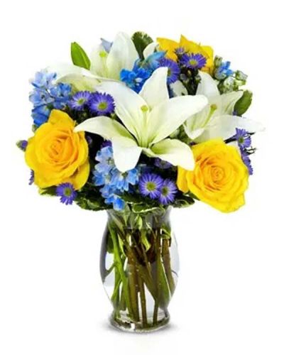 The Wide Blue Yonder Bouquet immediately resonates of a bright blue sky on sunny day. Gorgeous white Asiatic lilies are paired with yellow roses, blue delphinium and purple Monte Casino blooms all creatively arranged in a fluted vase with a blue satin ribbon.