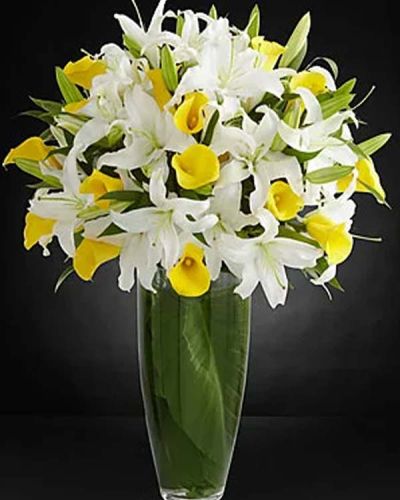 Abundance abounds in this uplifting luxury lily bouquet. Stems of large and fragrant Oriental Lilies flaunt their grace and beauty amongst brilliantly bright yellow calla lilies. Gorgeously situated in a superior clear glass bullet vase, this stunning bouquet has been picked fresh for you to create a spirited expression of cheerful bliss helping you celebrate birthdays, express your thanks and gratitude, or send your warmest get well wishes.