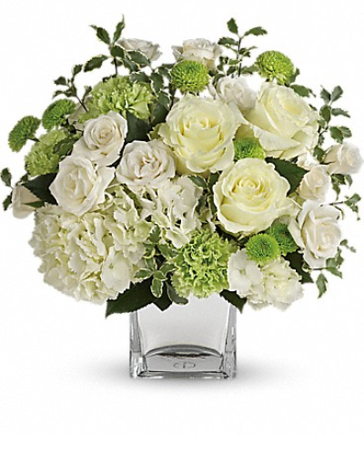 <div class="m-pdp-tabs-description">
<div id="mark-1" class="m-pdp-tabs-marketing-description">Let your love shine! No matter the recipient or the occasion, this stunning monochromatic mix of hydrangea and roses, hand-delivered in a silver cube, is destined to delight and inspire.</div>
</div>
<p id="arrngDescp">This bouquet of blooms includes white hydrangea, white roses, white spray roses, green carnations, green button spray chrysanthemums and pitta negra.</p>