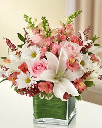 This elegant pink and white arrangement is gathered in a lovely cube vase the elegant arrangement includes fresh pink roses, pink snapdragons, white lilies, pink alstroemeria, white daisy poms and pink heather are accented with variegated pittosporum and myrtle.