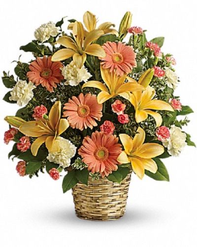 <div class="m-pdp-tabs-description">
<div id="mark-1" class="m-pdp-tabs-marketing-description">

Bring warmth to anyone with this basket of sunshine.

A radiant arrangement of light, this bouquet of lilies, gerberas and carnations is a comforting reminder of your support and affection.

</div>
</div>
This sentimental favorite features peach asiatic lilies, peach gerberas, crème carnations and minature orange carnations with fresh green oregonia and lemon leaf. Deilvered in a natural woven basket.