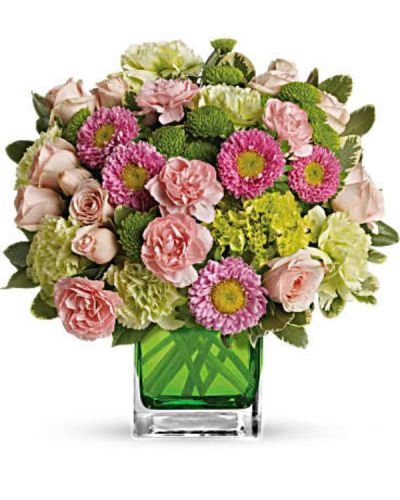 This sweet bouquet includes a vast array of green miniature hydrangea and light pink spray roses arranged in our citrus green glass cube.
Includes green miniature hydrangea, light pink spray roses, green carnations, pink miniature carnations, pink matsumoto asters and green button spray chrysanthemums accented with assorted greens