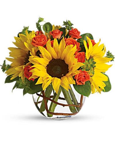 <div class="m-pdp-tabs-description">
<div id="mark-1" class="m-pdp-tabs-marketing-description">Whoever receives this stunning bouquet is sure to be bowled over by its bold beauty! It's big on fun and big on flowers.</div>
</div>
<p id="arrngDescp">Sunflowers steal the show in this simple arrangement. Also featured: green bupleurum, salal leaves and a curly willow inside the glass bubble bowl.</p>