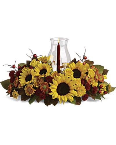 Sunflowers are the stars of this fabulous fall flower centerpiece! All the classic autumnal colors are here, plus a glowing glass hurricane, making it a heartwarming decoration for your Thanksgiving table, kitchen counter or powder room.
Stunning sunflowers add bright energy to this beautiful arrangement of bronze daisies, bronze cushion mums and rust button mums.
Accented with red ilex berries, brown copper beech leaves, magnolia leaves and salal.