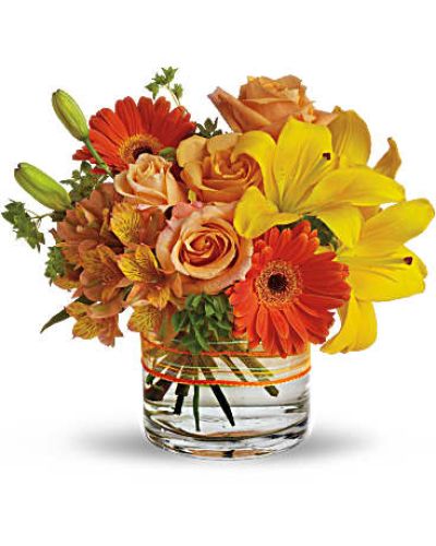 Send a sunny siesta someone's way with this chic summer bouquet! Warm shades of orange and yellow are presented in a modern low cylinder vase for a stylish arrangement that suits anyone, any time.
Yellow asiatic lilies, light orange roses and an orange gerbera daisy are blended with Peruvian lilies (also known as alstroemeria) in a clear cylinder vase wrapped with sheer organza ribbon.
Fresh bupleurum adds a bright burst of green.