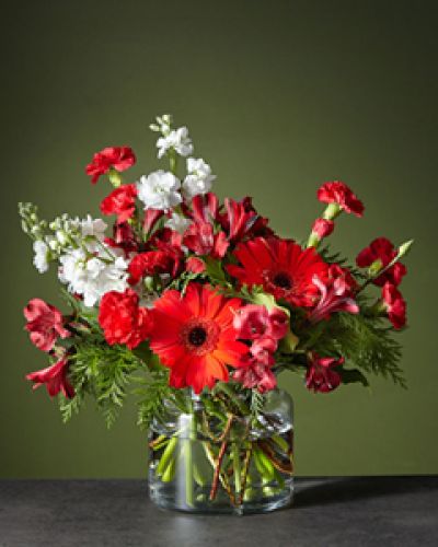 <div class="row">
<div class="truncated">

The Big Red Bow bouquet will add the perfect finishing touch to any room's holiday décor. Let the cherry red gerbera daises steal the show while the white stock adds balance and softens the vibrant arrangement.

</div>
</div>

<div id="accordion-container" class="product-detail-step-one product-page">
<div id="accordion" class="panel-group">
<div class="panel panel-default">
<div class="panel-heading">
<h4 class="panel-title"></h4>
</div>
</div>
</div>
</div>